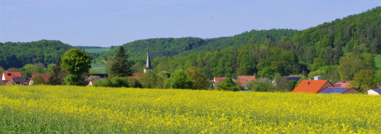 Füttersee im Steigerwald während der Rapsblüte