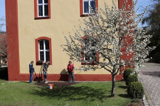 Konfirmanden säen Blumen