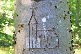 In einen Buchenstamm eingeritzte Kirche, entdeckt in der thüringischen Rhön beim "Steinmeer" am Geißkkopf