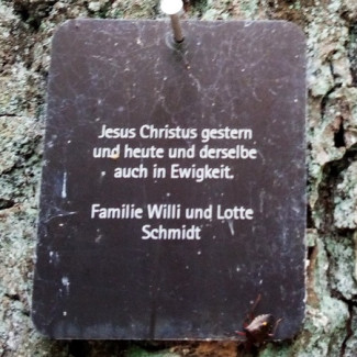 Baum EFS 709 im Friedwald auf dem Schwanberg