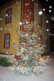 Frohe Weihnachten wünschen Ihnen die Kirchenvorstände Rehweiler und Füttersee