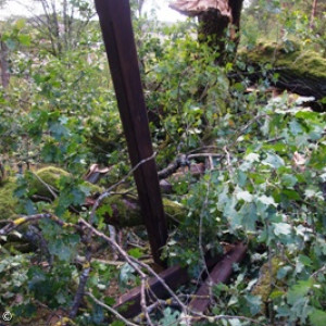 Zerstörtes Holzkreuz vor der Kaisereiche